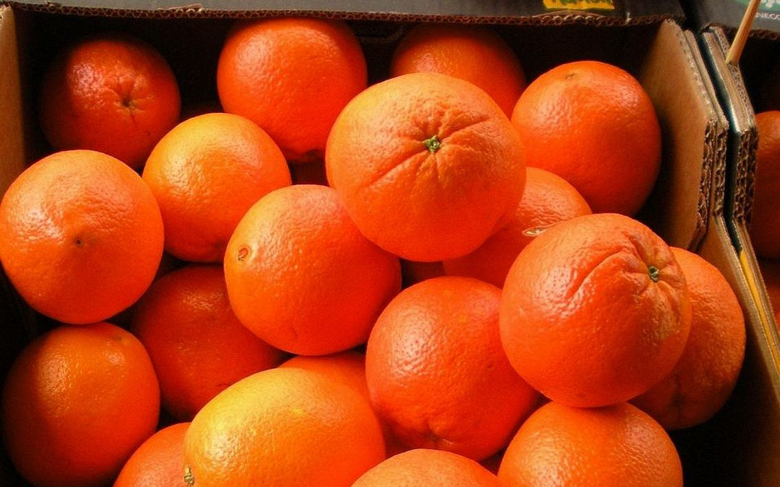 Tabakta sıcak çikolatalı karpuz dilimi